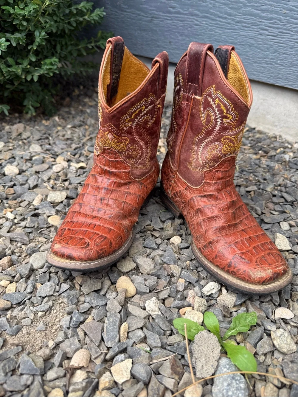 Kids Western Cowboy Boots Croc Embossed Leather Little Kid 11